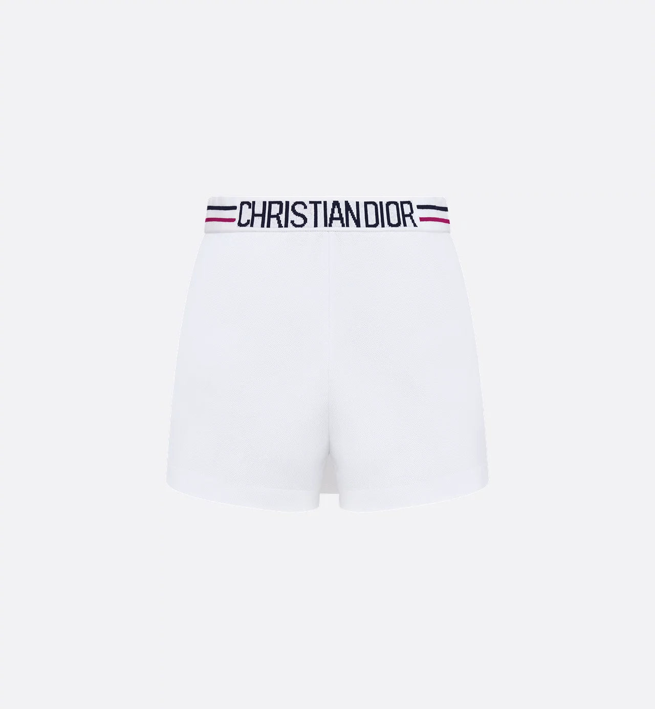 FALDA PANTALÓN DI0R