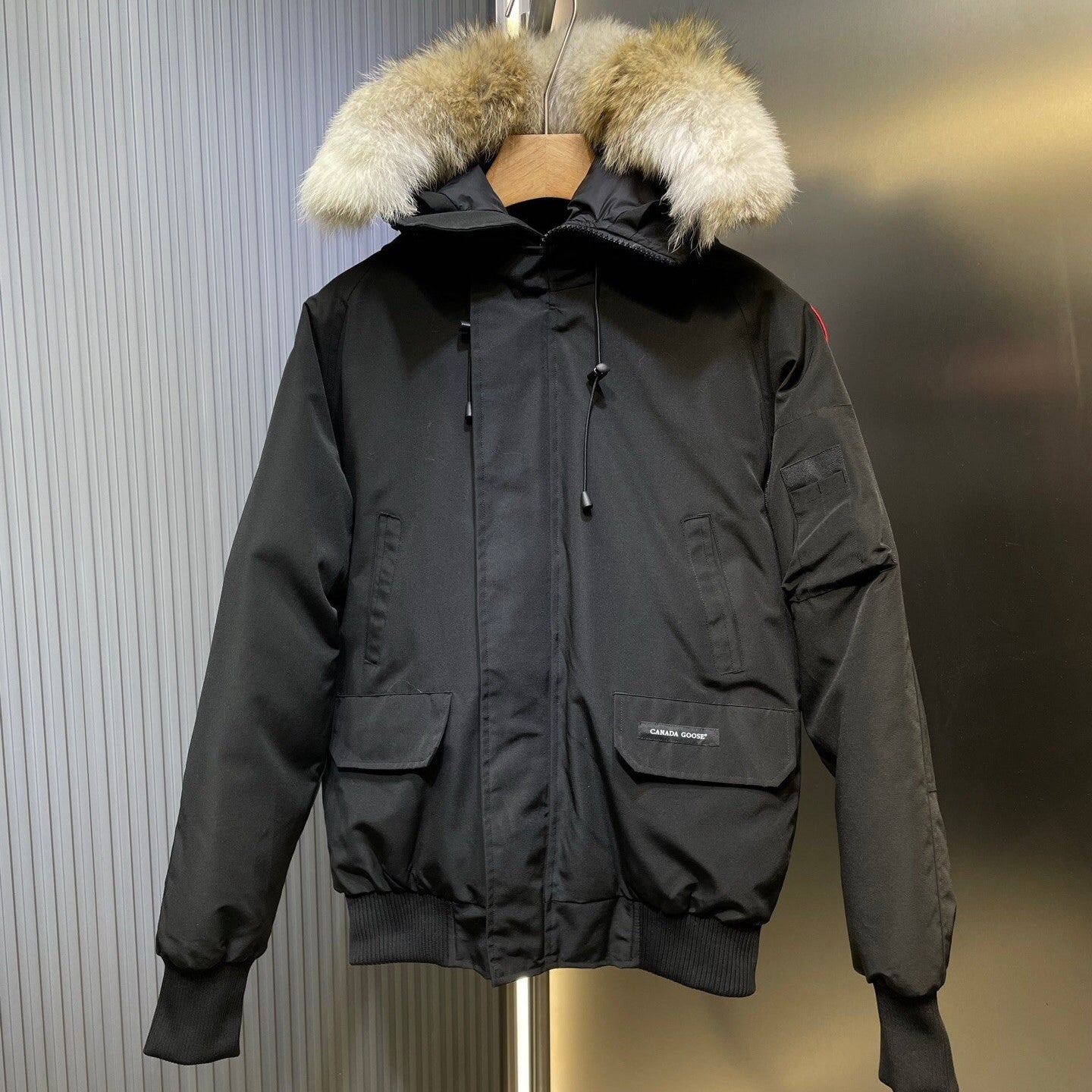 Canada Goose