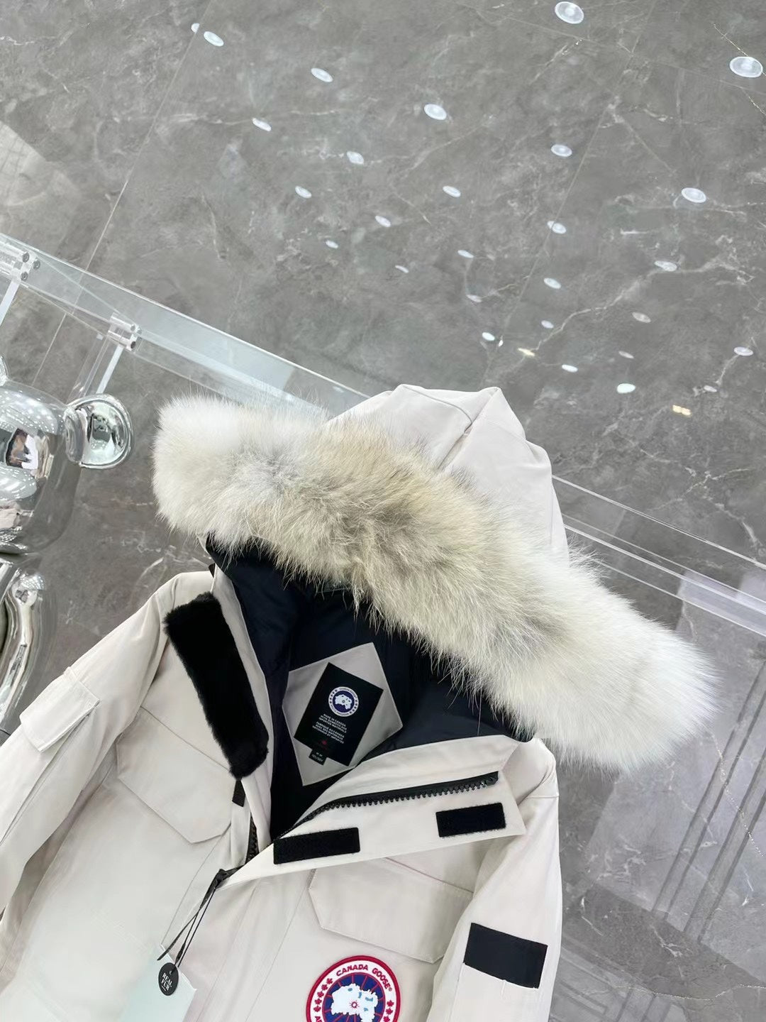 Canada Goose