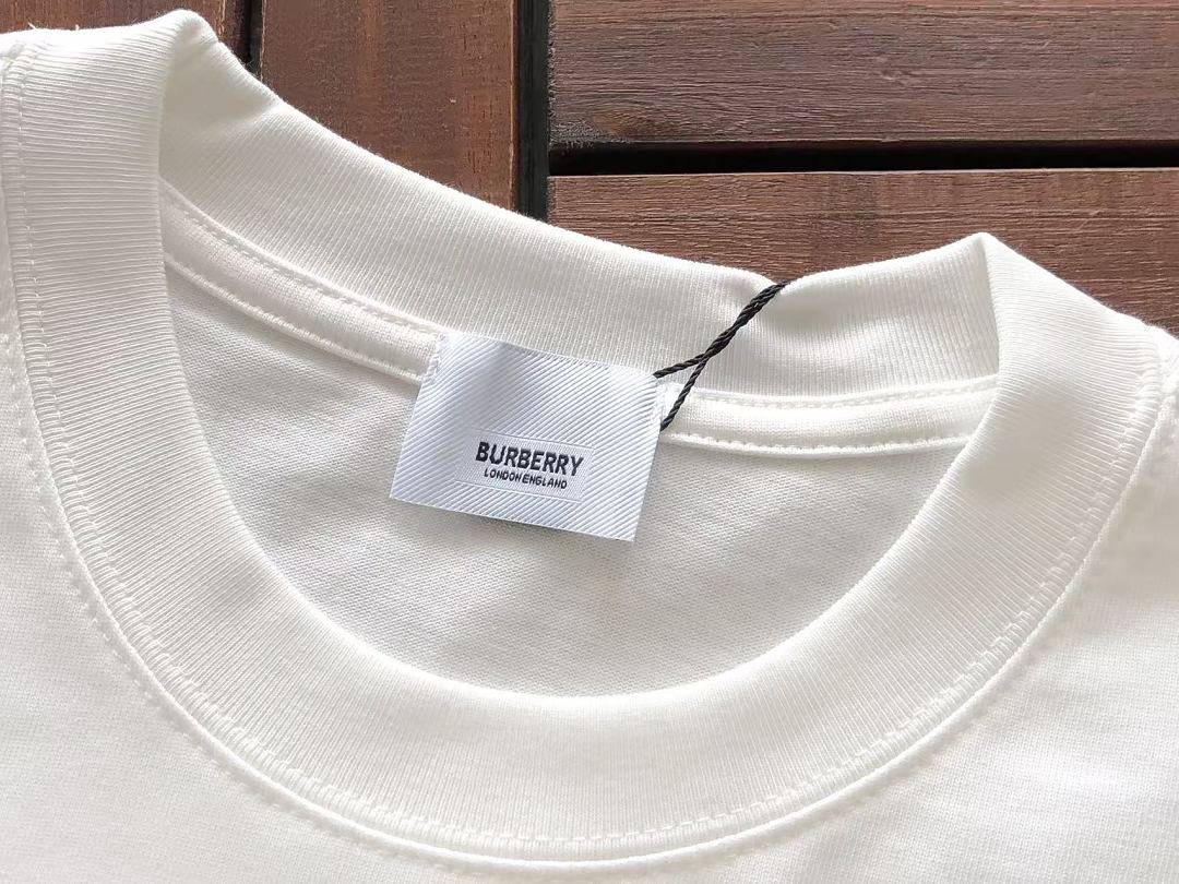 B🔥RB🔥RRY T-SHIRT