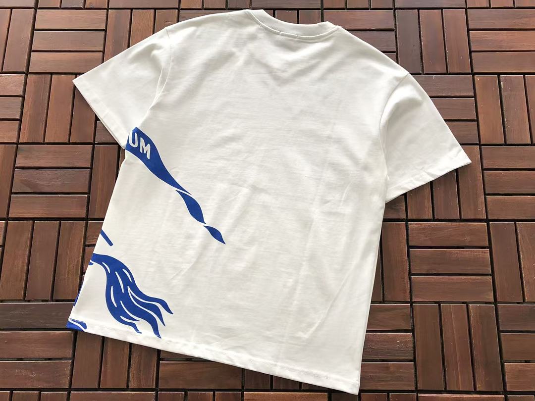 B🔥RB🔥RRY T-SHIRT