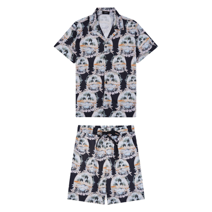 Conjunto AMIRl