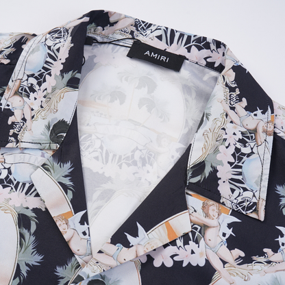 Conjunto AMIRl