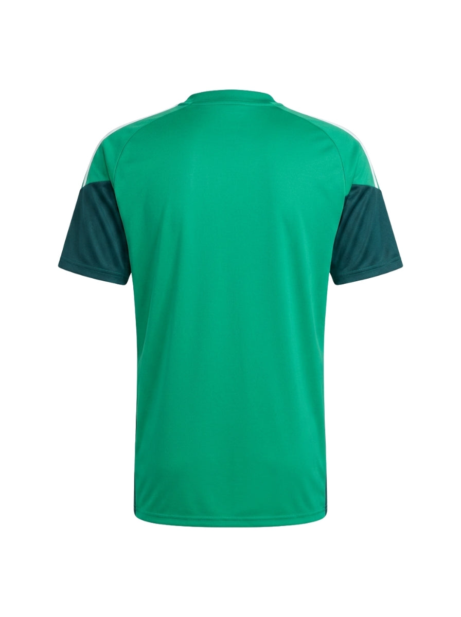 Jersey Training 2026