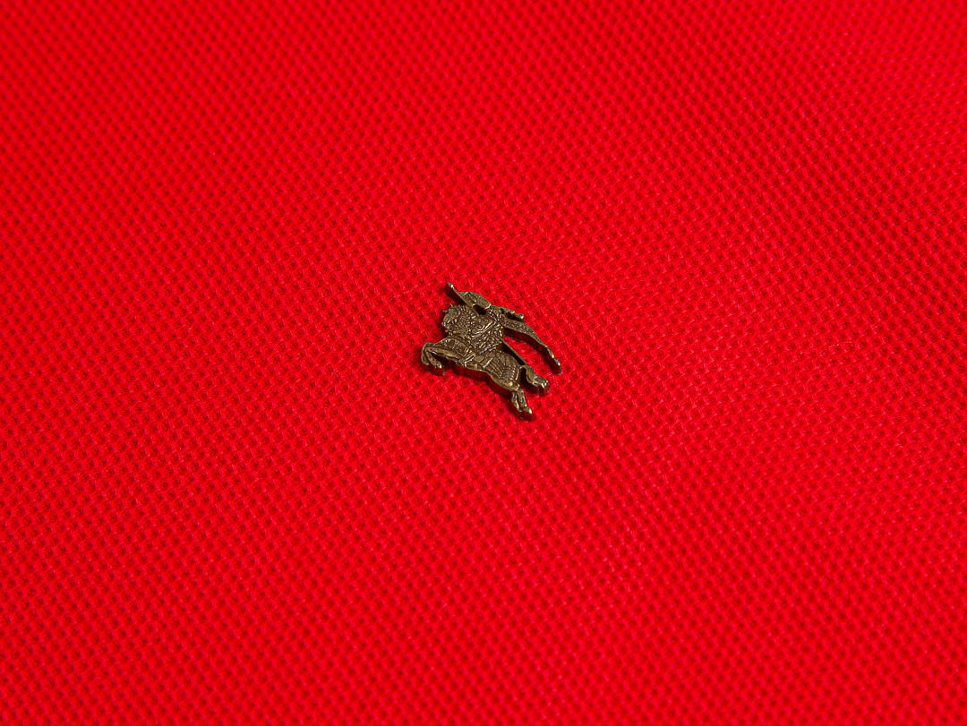 POLO BURBERR¥