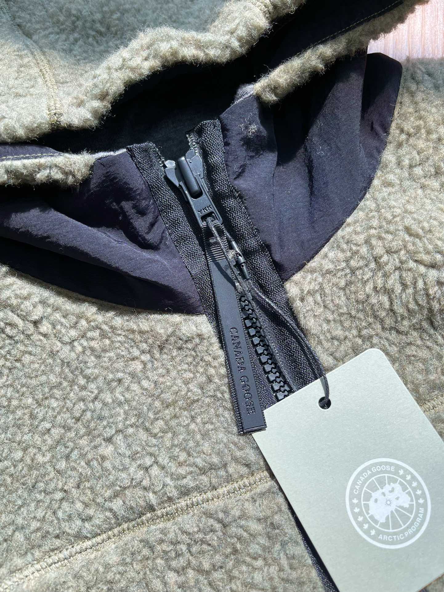 Canada Goose
