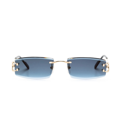 Monochromatic Sunglasses