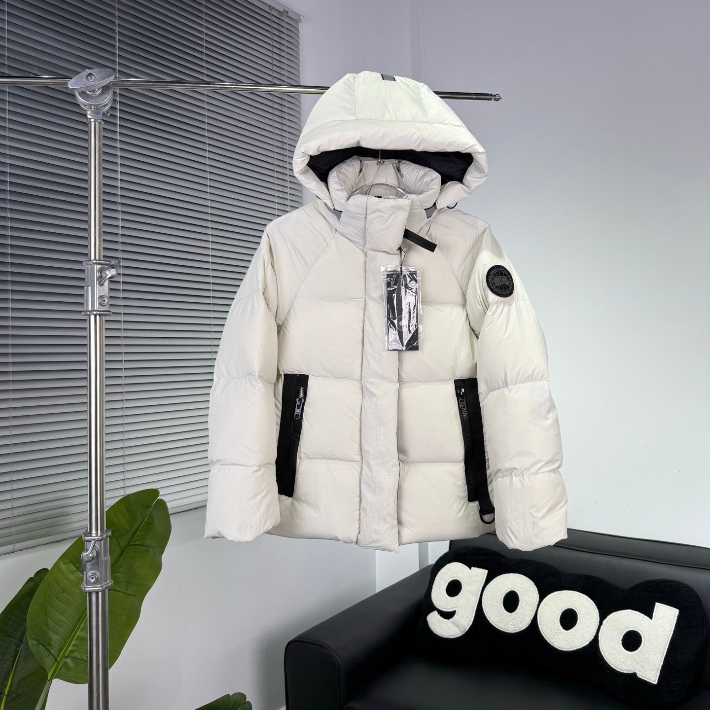Canada Goose