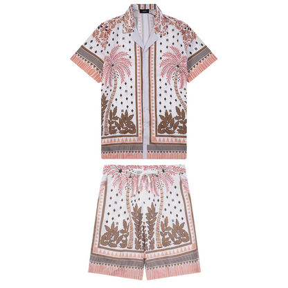Conjunto AMIRl