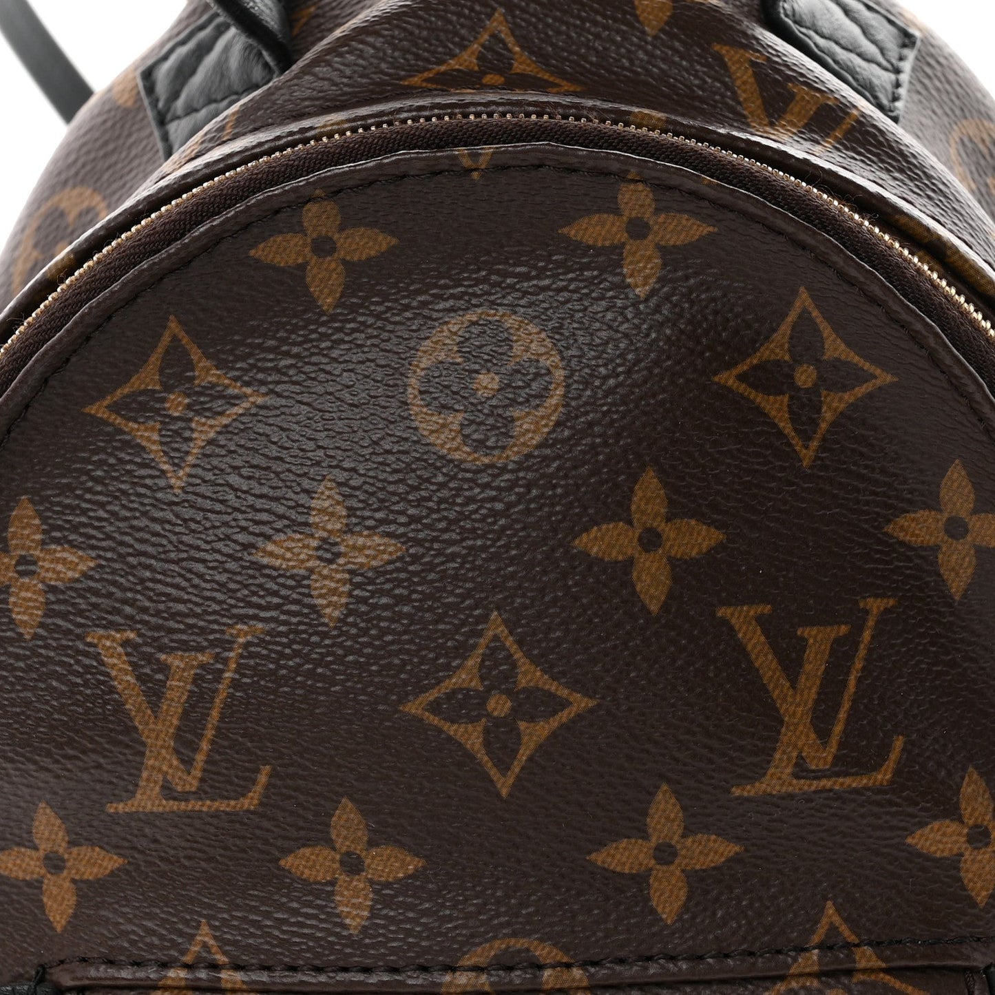 Monogram Palm Springs Backpack Mini