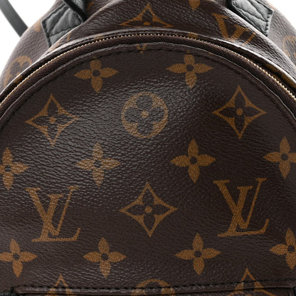 Monogram Palm Springs Backpack Mini