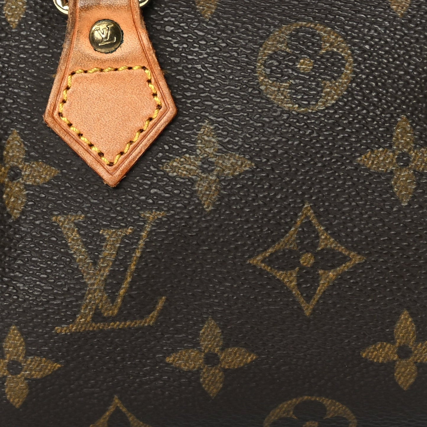 Monogram Mini Sac HL Speedy