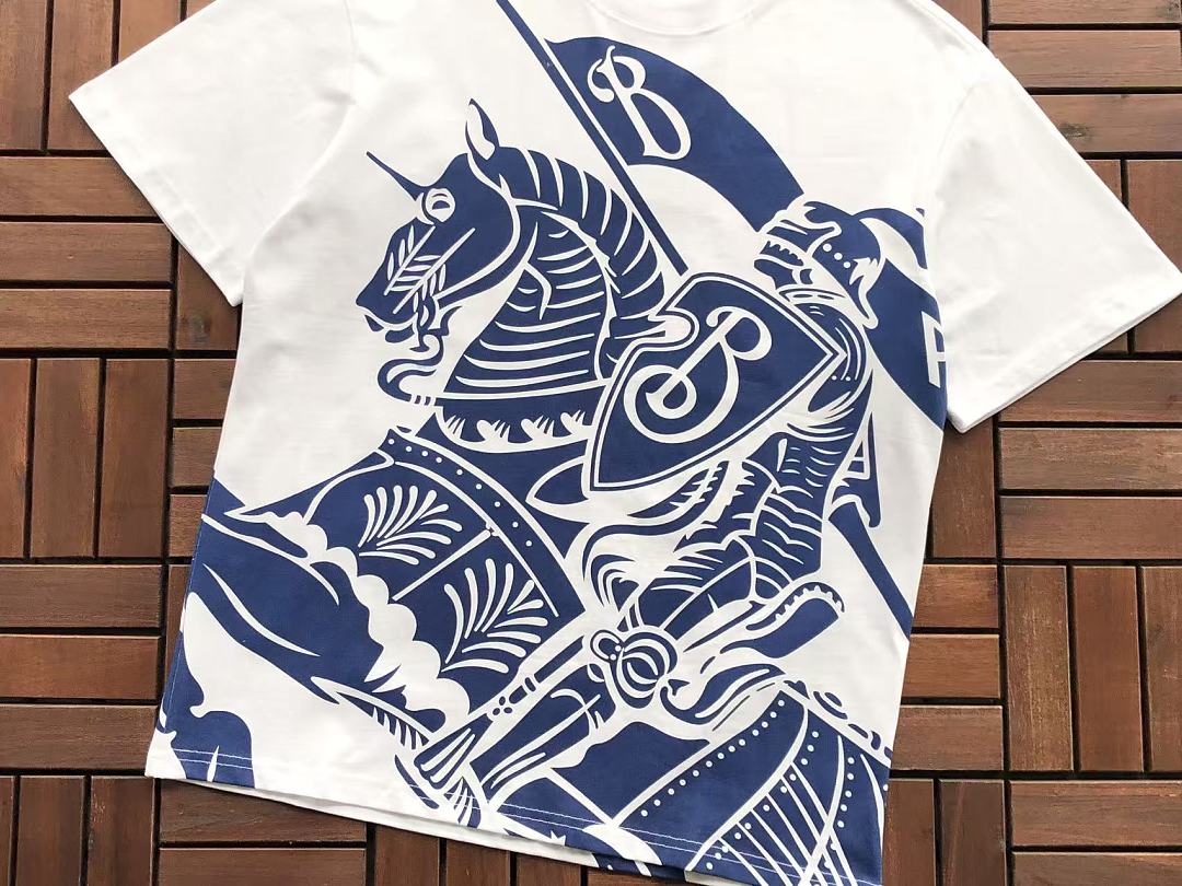 B🔥RB🔥RRY T-SHIRT