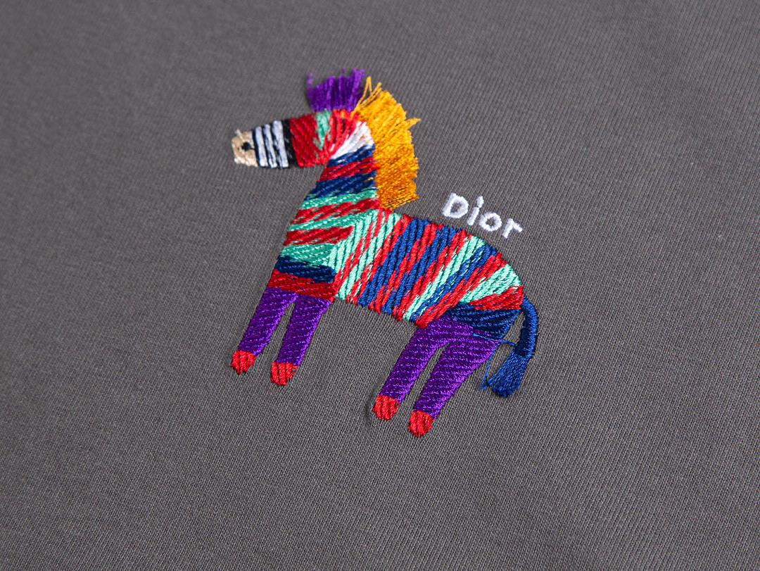 CAMISETA DIØR