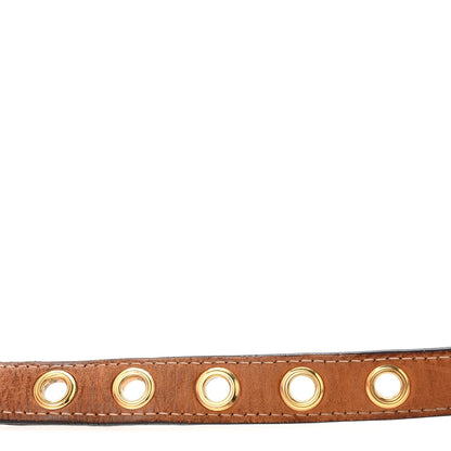 Damier Ebene 20mm Belt 80 32