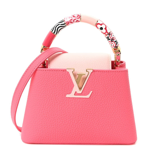 LV Bag