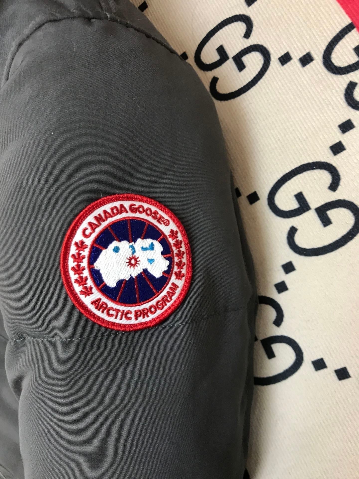 Canada Goose