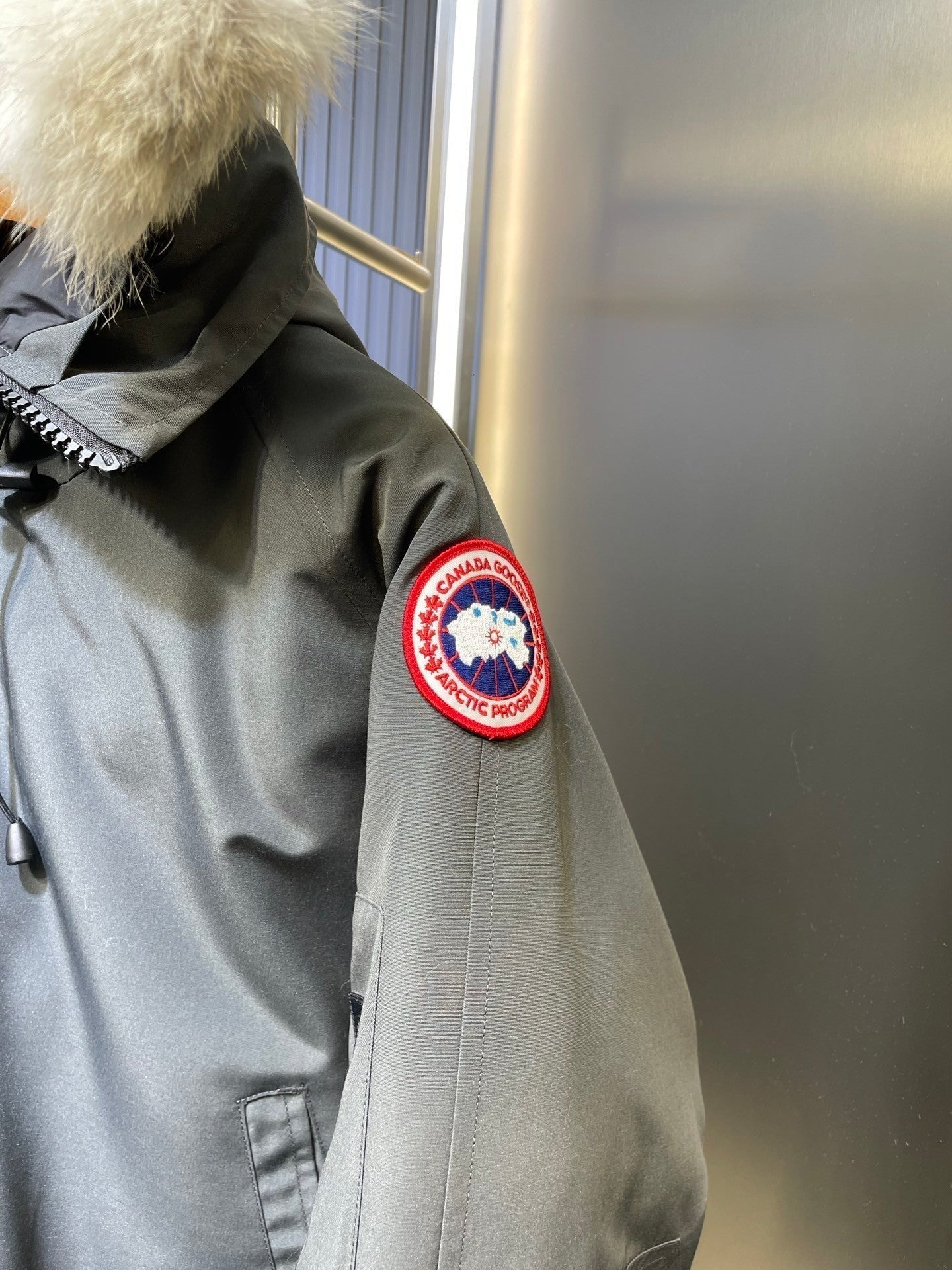 Canada Goose