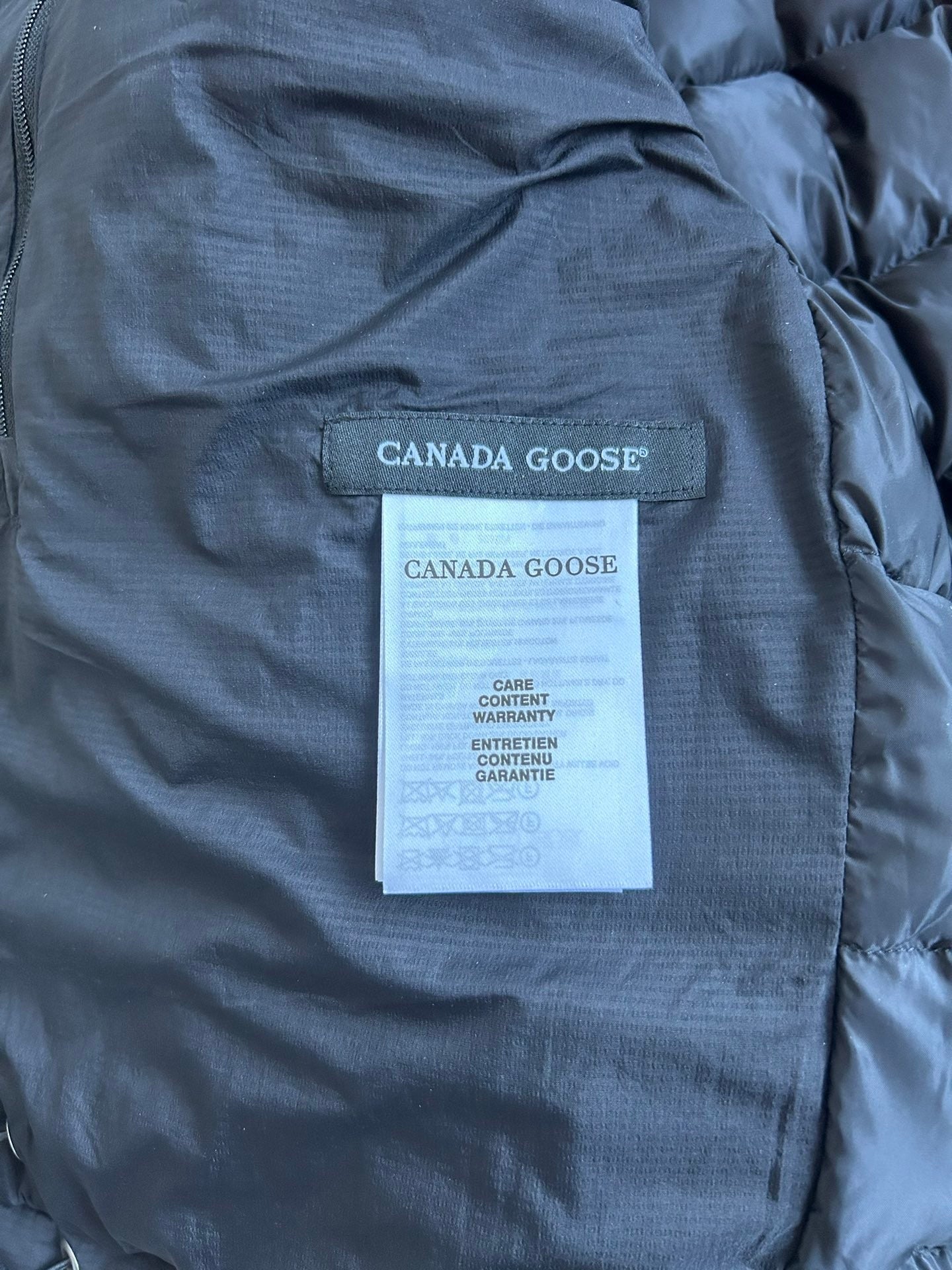 Canada Goose