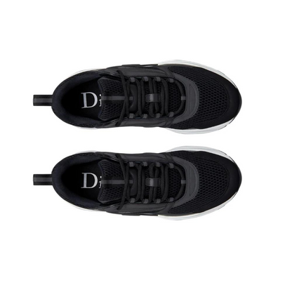 DIOR B22