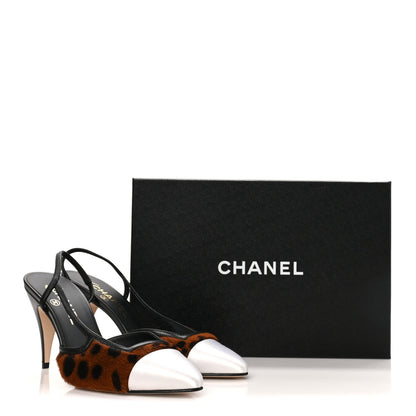 Lambskin Mixed Fibers Cap Toe CC Slingback Flats 37 Brown Black White 38 Brown Black White