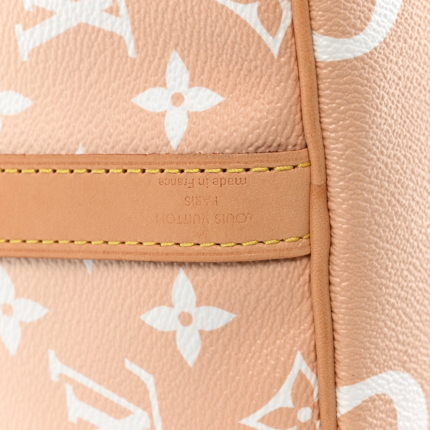 Monogram Giant By The Pool Speedy Bandouliere 25 Brume