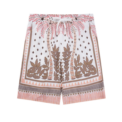 Conjunto AMIRl