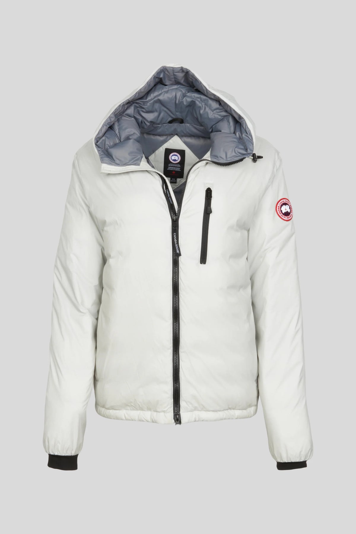 Canada Goose