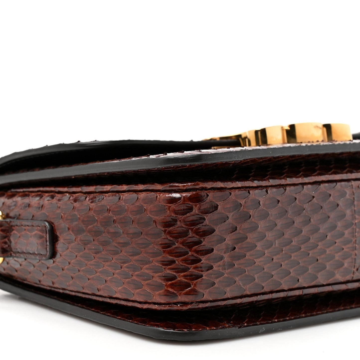Watersnake Teen Triomphe Brown