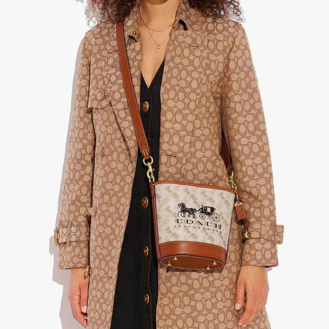 Coa Presbyopic Carriage Bucket Bag