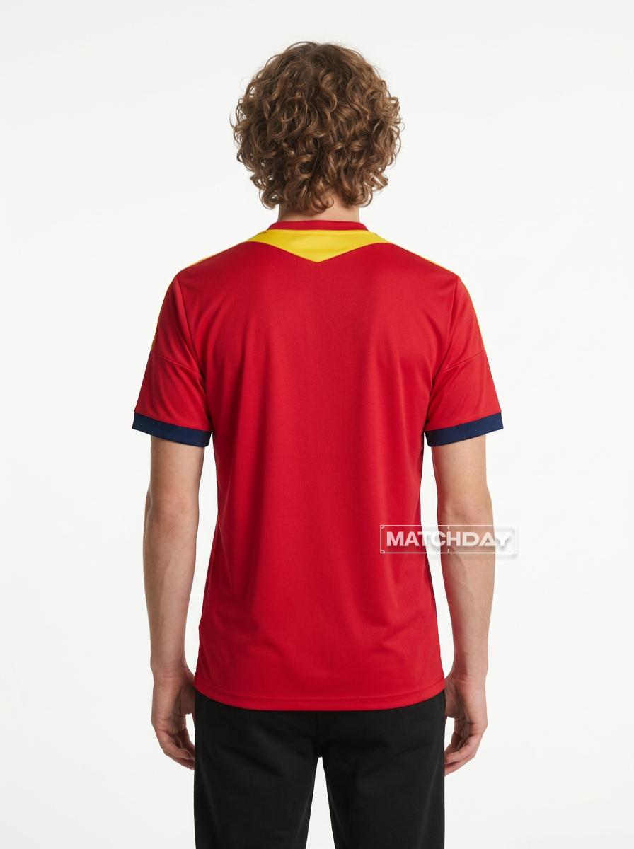 Jersey Retro 2013