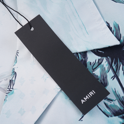 Conjunto AMIRl