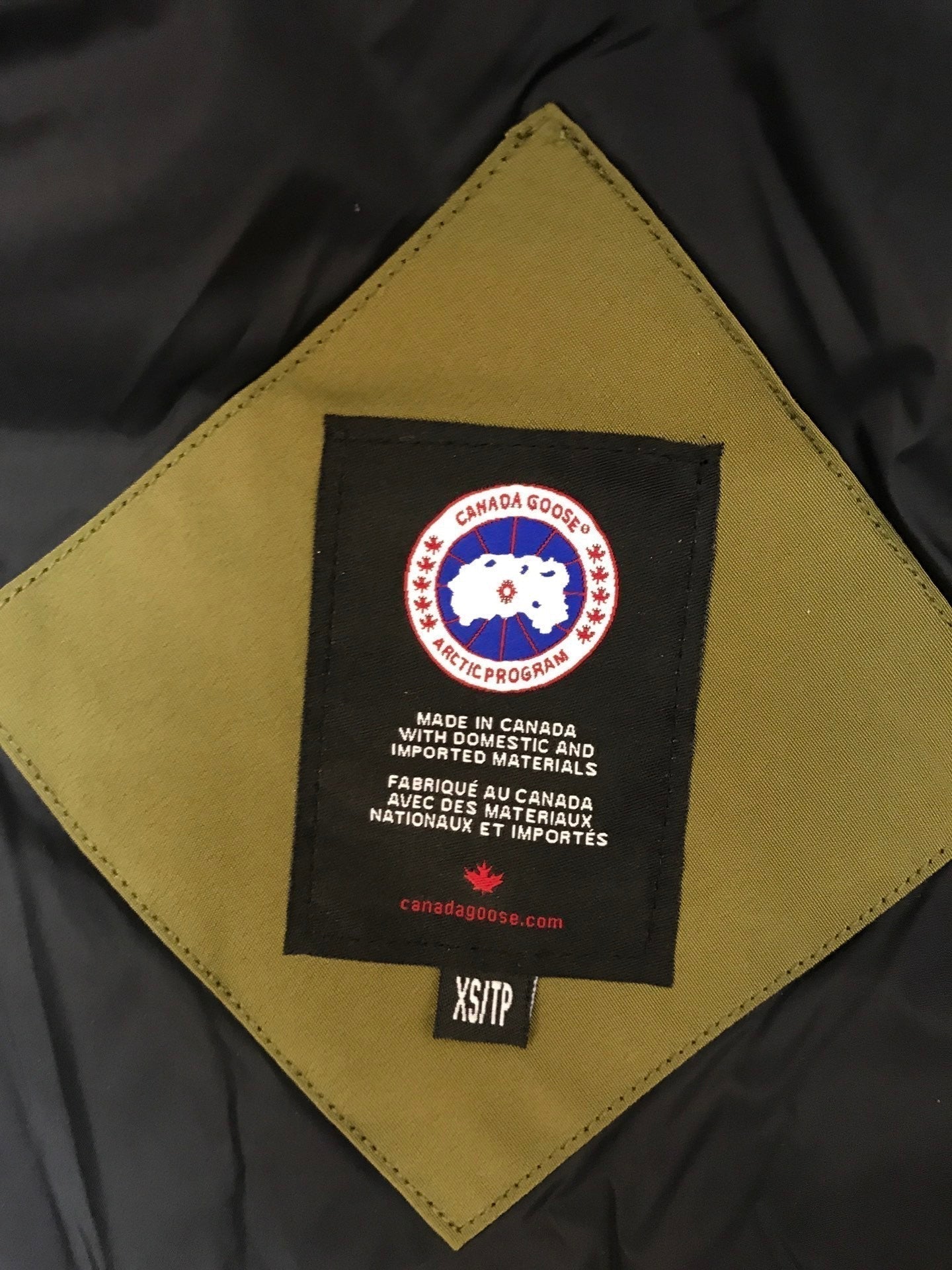 Canada Goose
