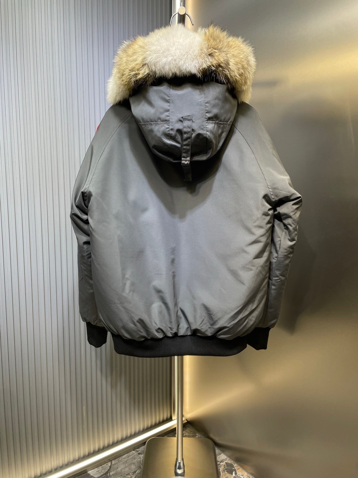 Canada Goose
