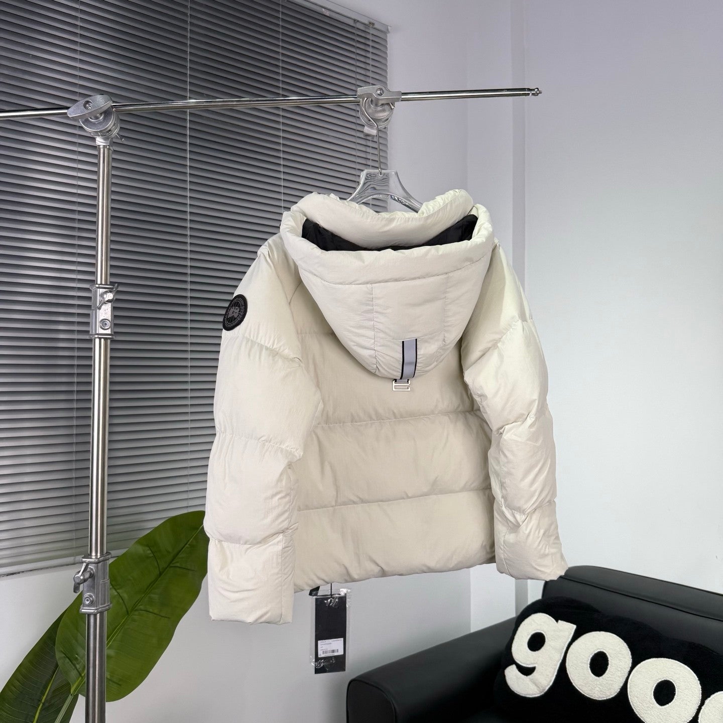 Canada Goose