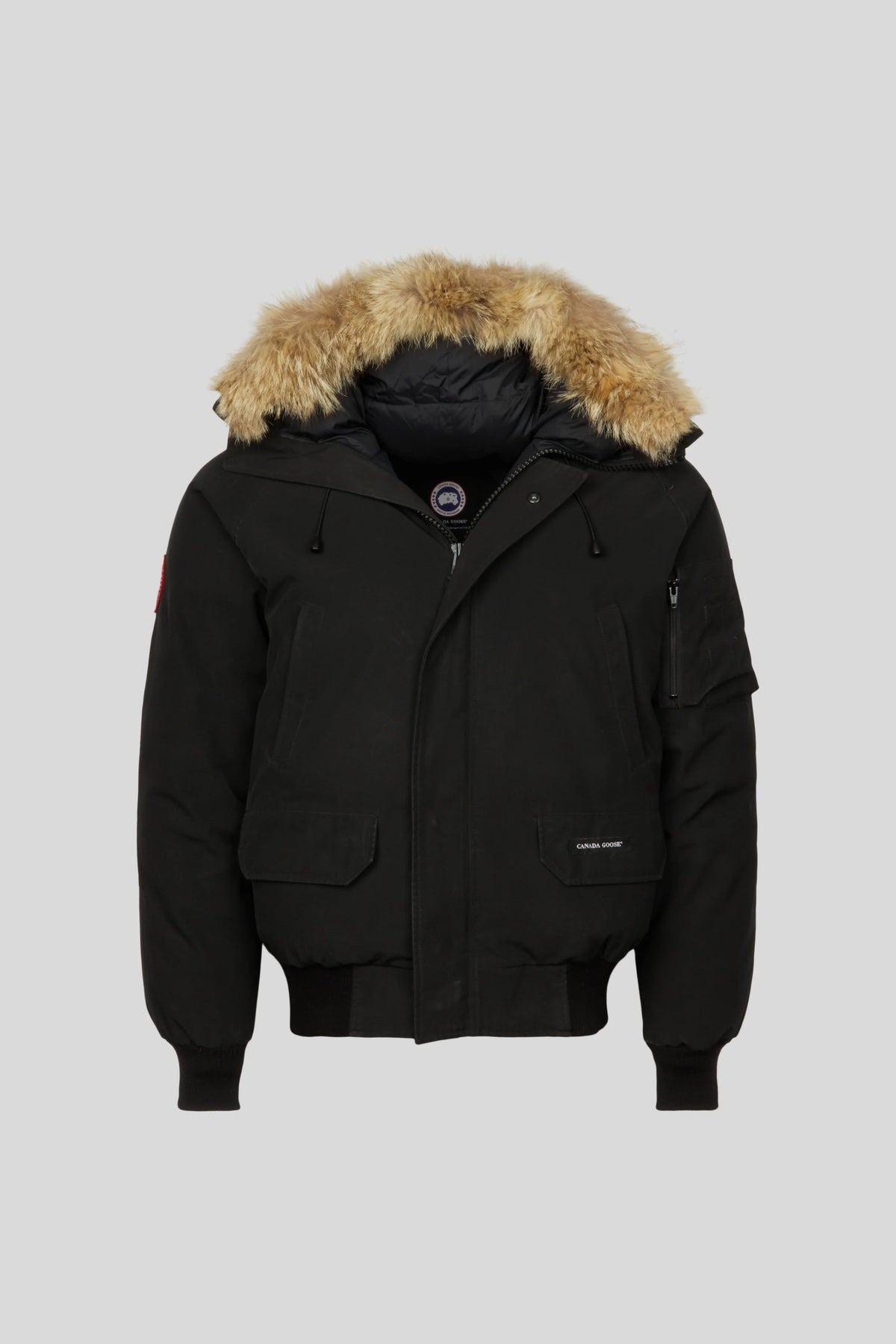 Canada Goose