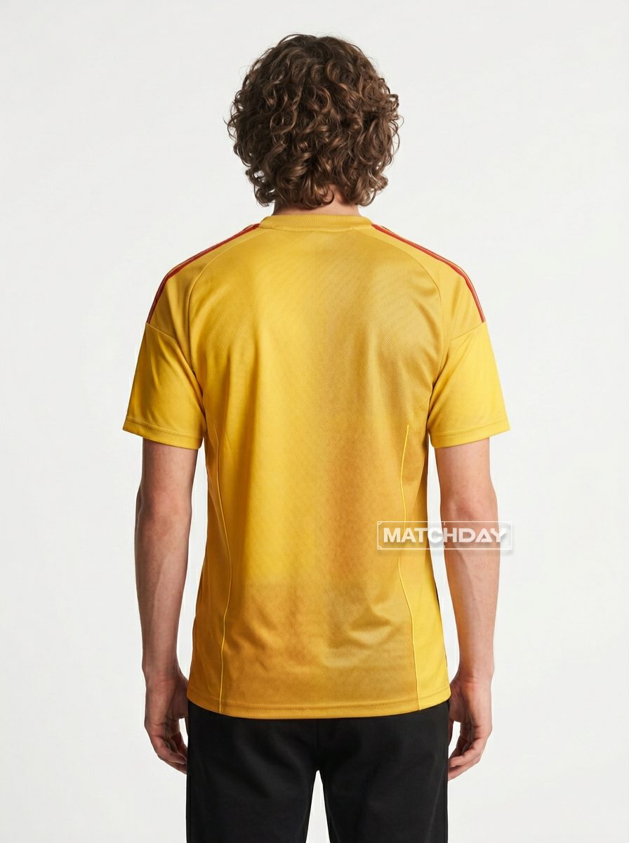 Jersey Retro 2008
