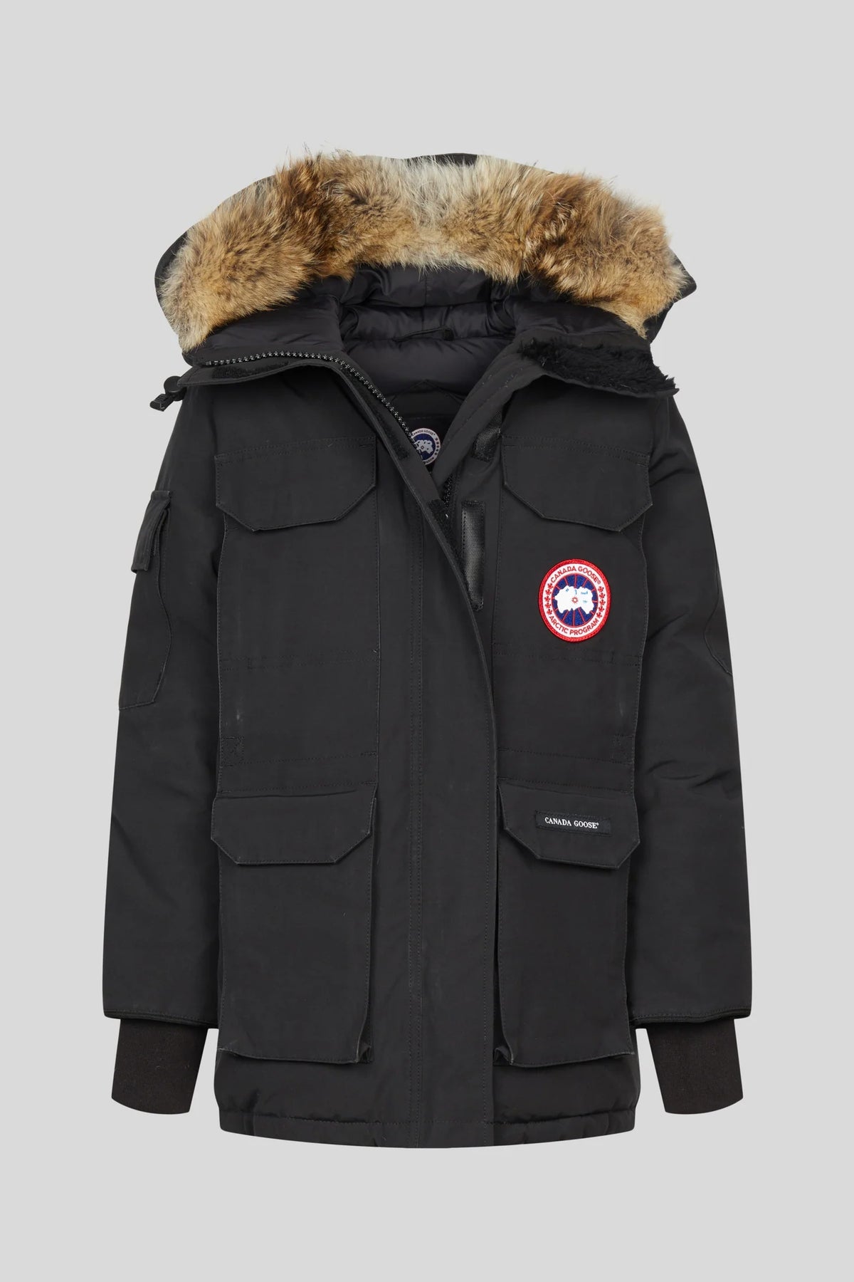 Canada Goose