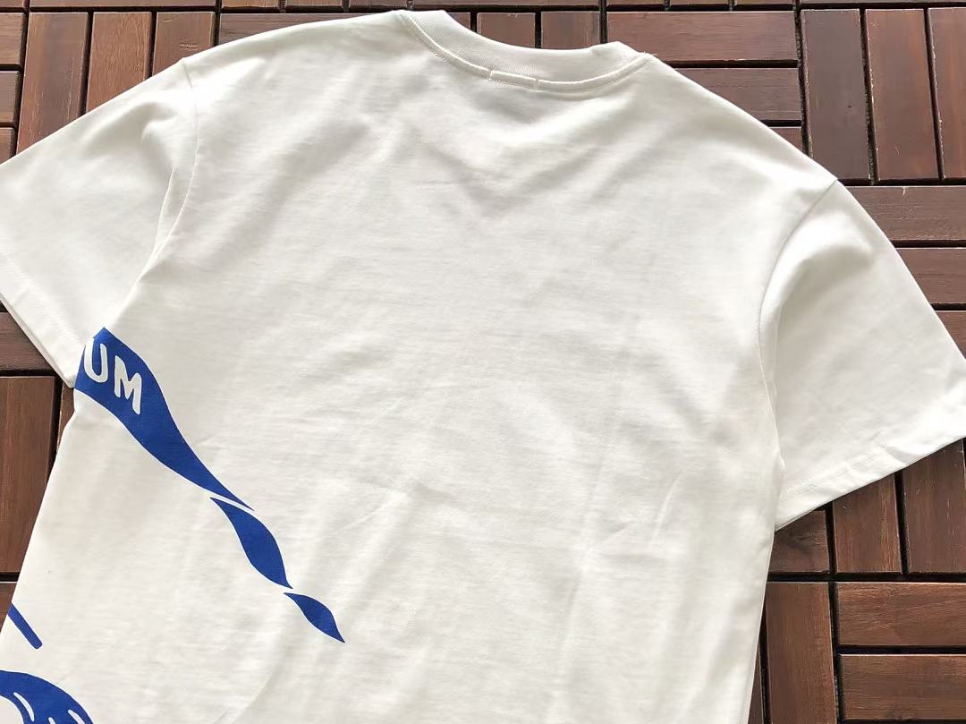 B🔥RB🔥RRY T-SHIRT