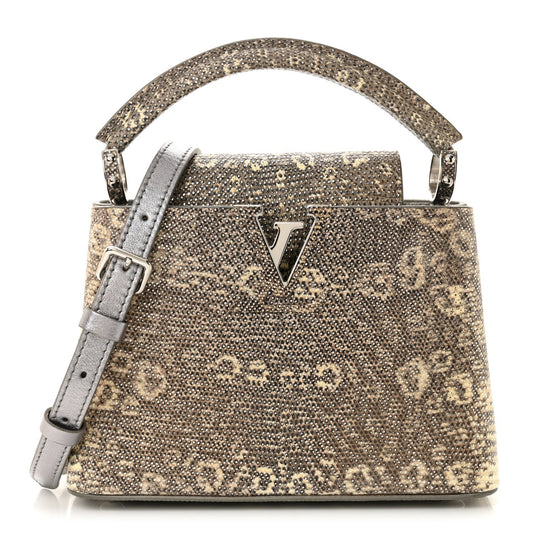 LV Bag