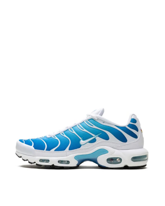 TN
