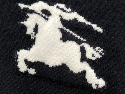 B🔥RB🔥RRY SWEATER