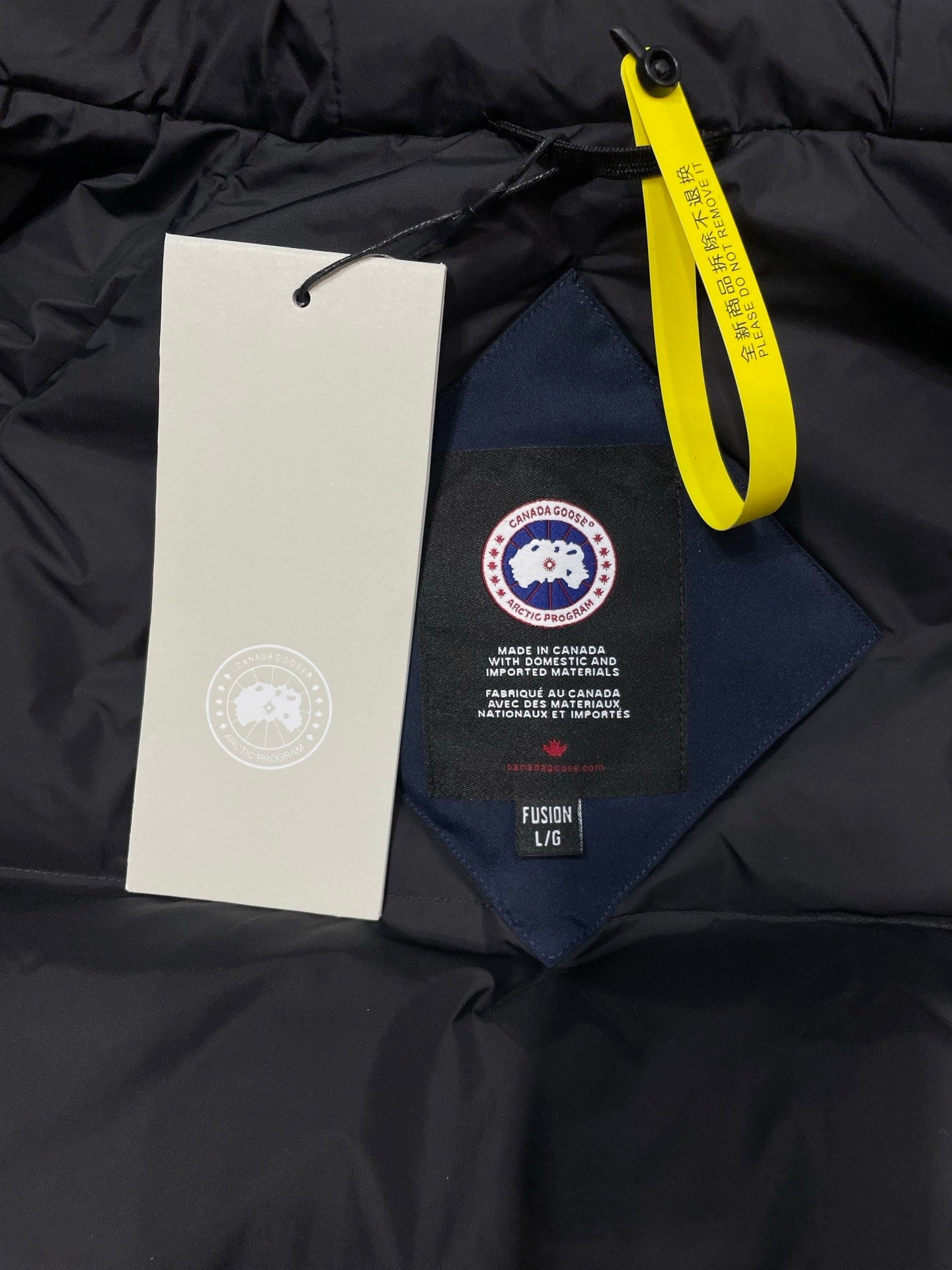 Canada Goose