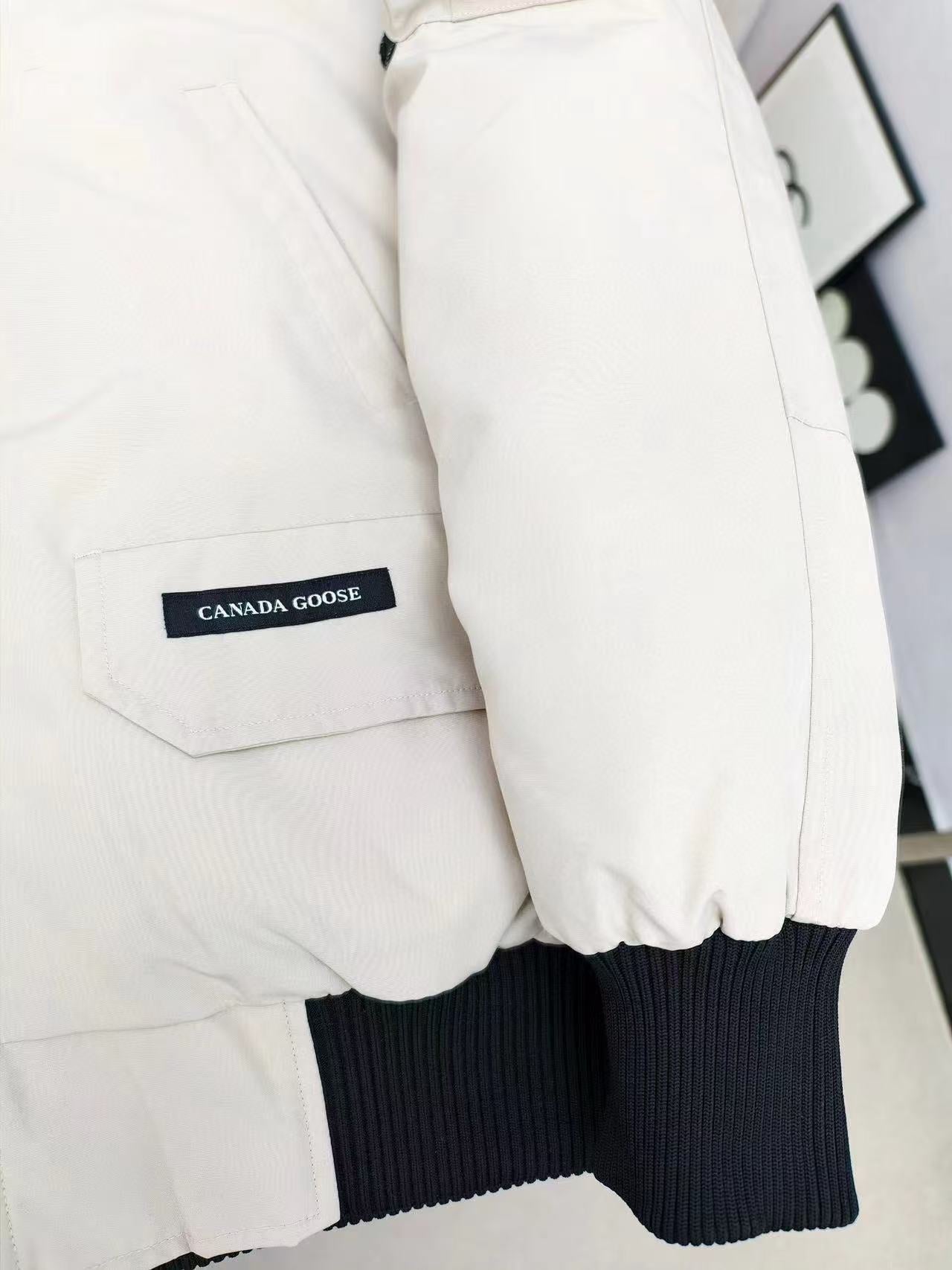Canada Goose