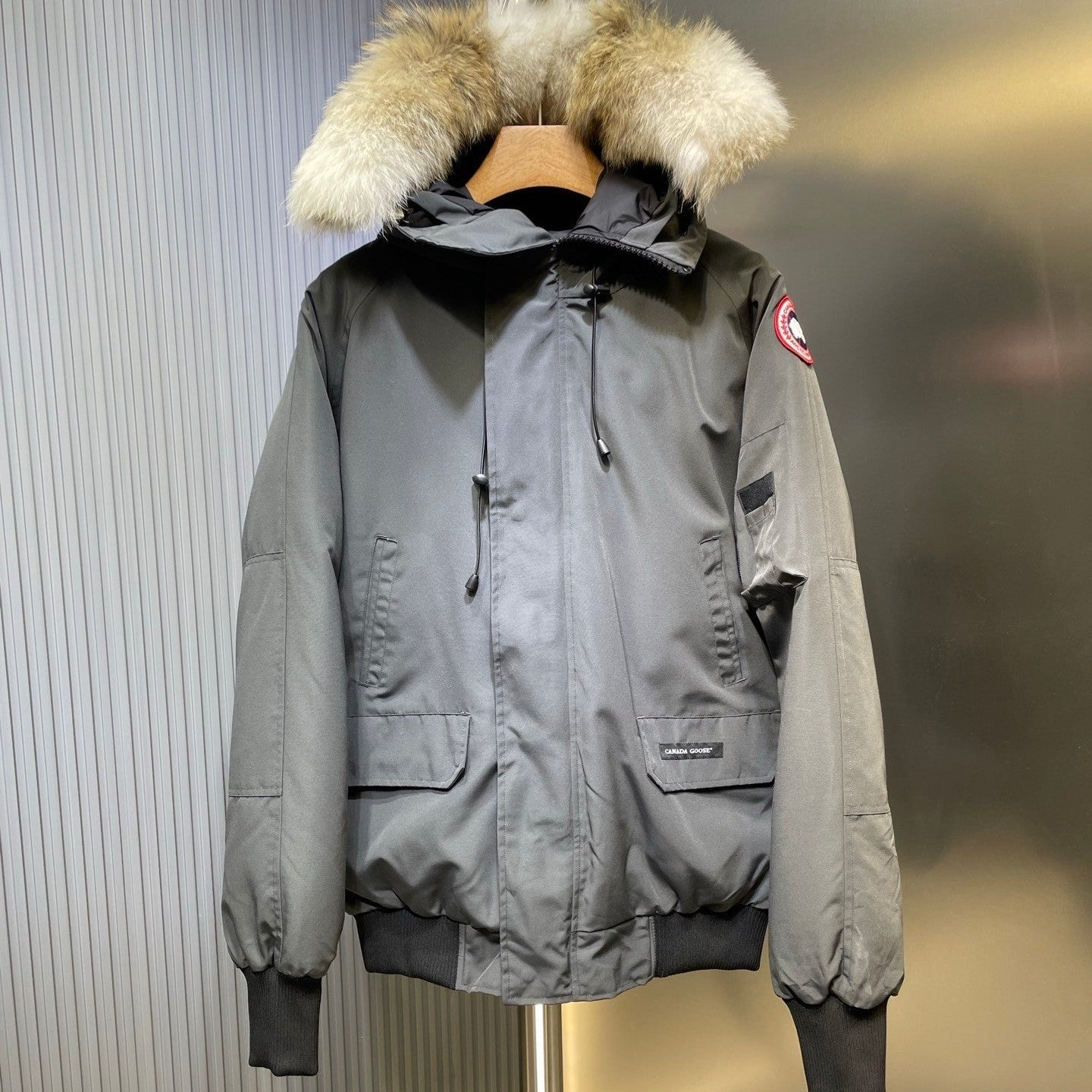 Canada Goose
