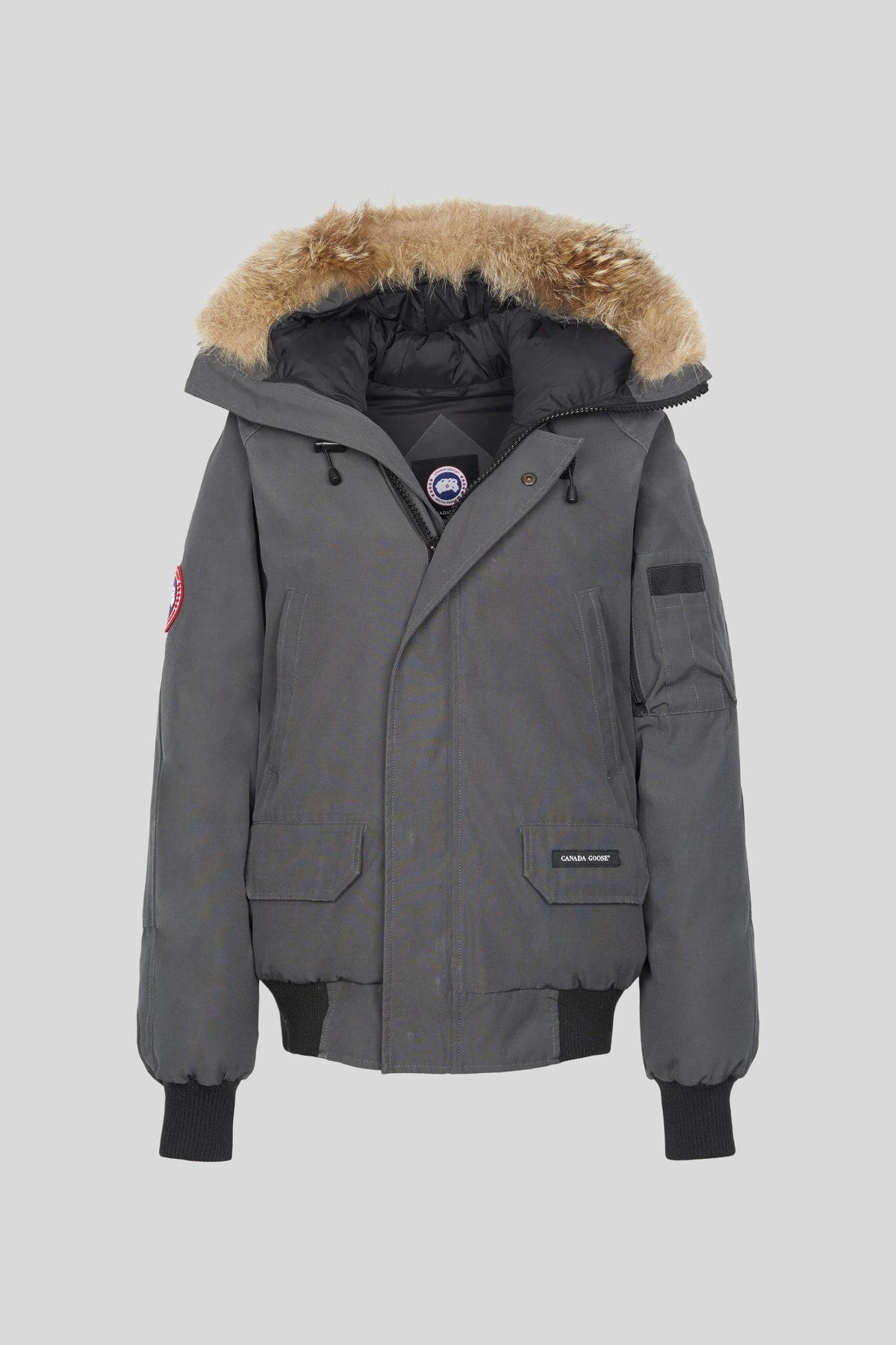 Canada Goose