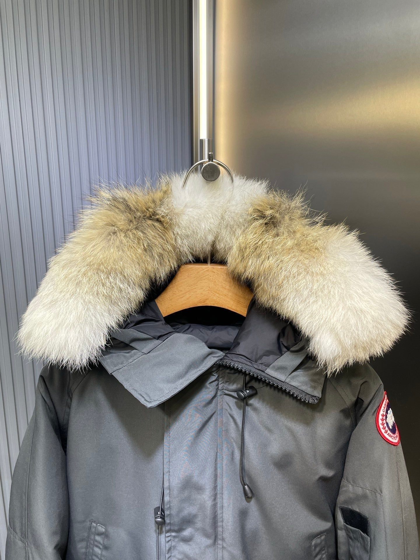 Canada Goose