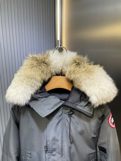 Canada Goose