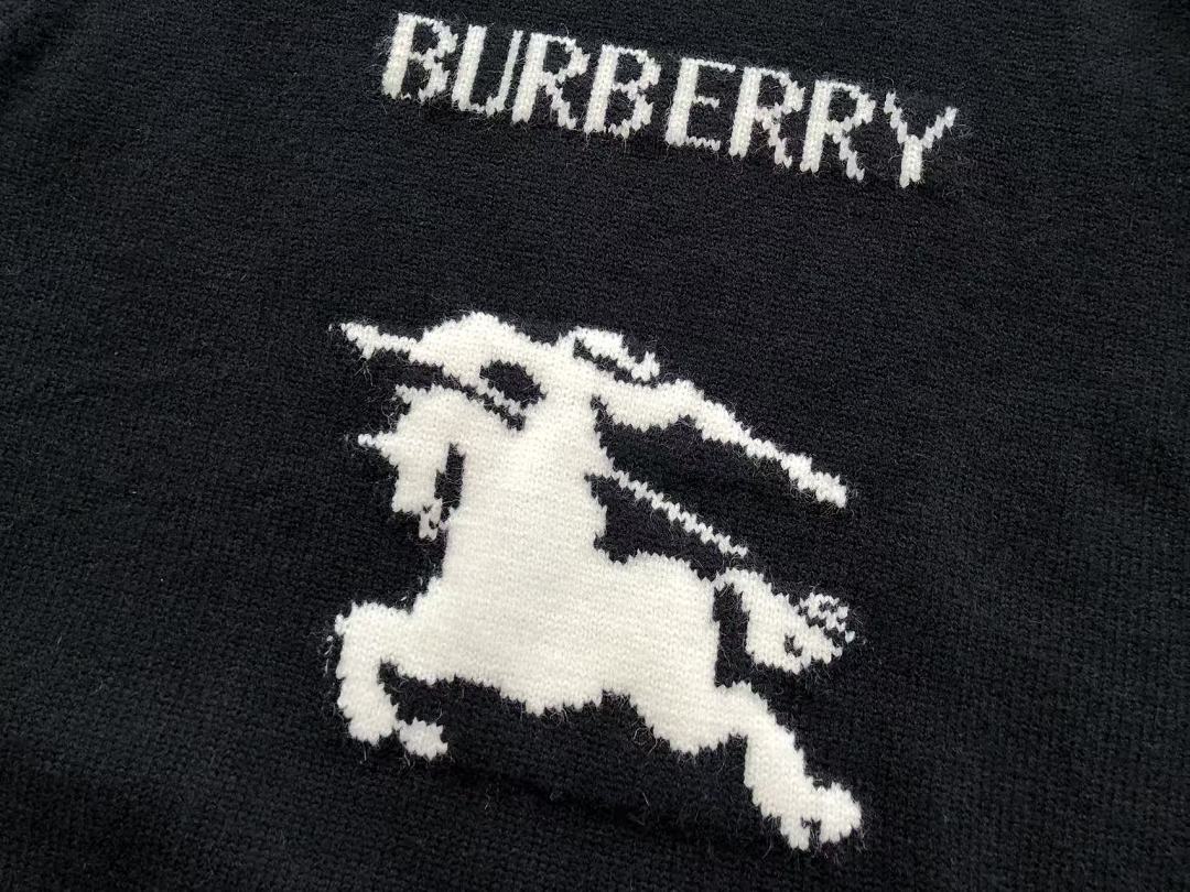 B🔥RB🔥RRY SWEATER