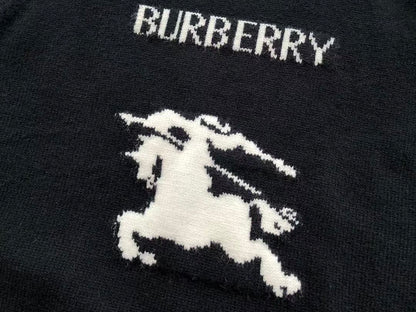 B🔥RB🔥RRY SWEATER